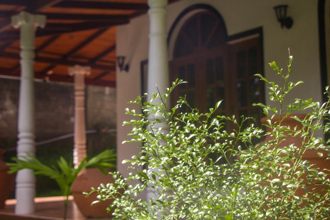 Jungle View Guesthouse Унаватуна Екстериор снимка